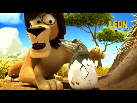 Baby crocodile, dangerous or not? Leon the Lion | 25' Compilation | Crazy animals