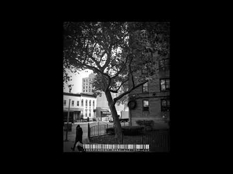 CRIMEDANCH CARTEL feat RAKIM - Ruggedis Style