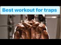 Beginner workout for traps!! How to grow traps!! Arvind mahala !!#sports #athlete #fitness #