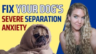 Fix Your Dog’s Separation Anxiety PERMANENTLY
