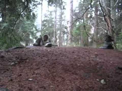 A Tour Of The Wetland Trail at Earth Sanctuary