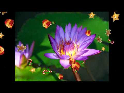 Excellos Five (1926) - You´re So Near And Yet So Far