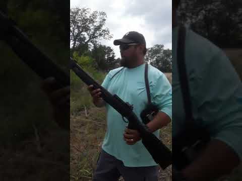 Specs of Tristar Setter