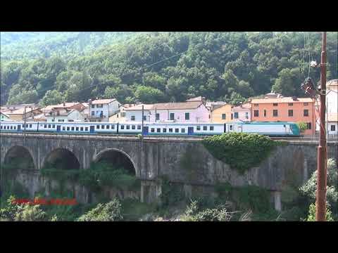 CAIMANO TITOLARE DELL' INTERCITY E REGIONALE IN TRANSITO A ISOLA DEL CANTONE.(GE) DOM. 12 - 7 - 2015