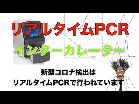 リアルタイム PCRについて詳しく解説