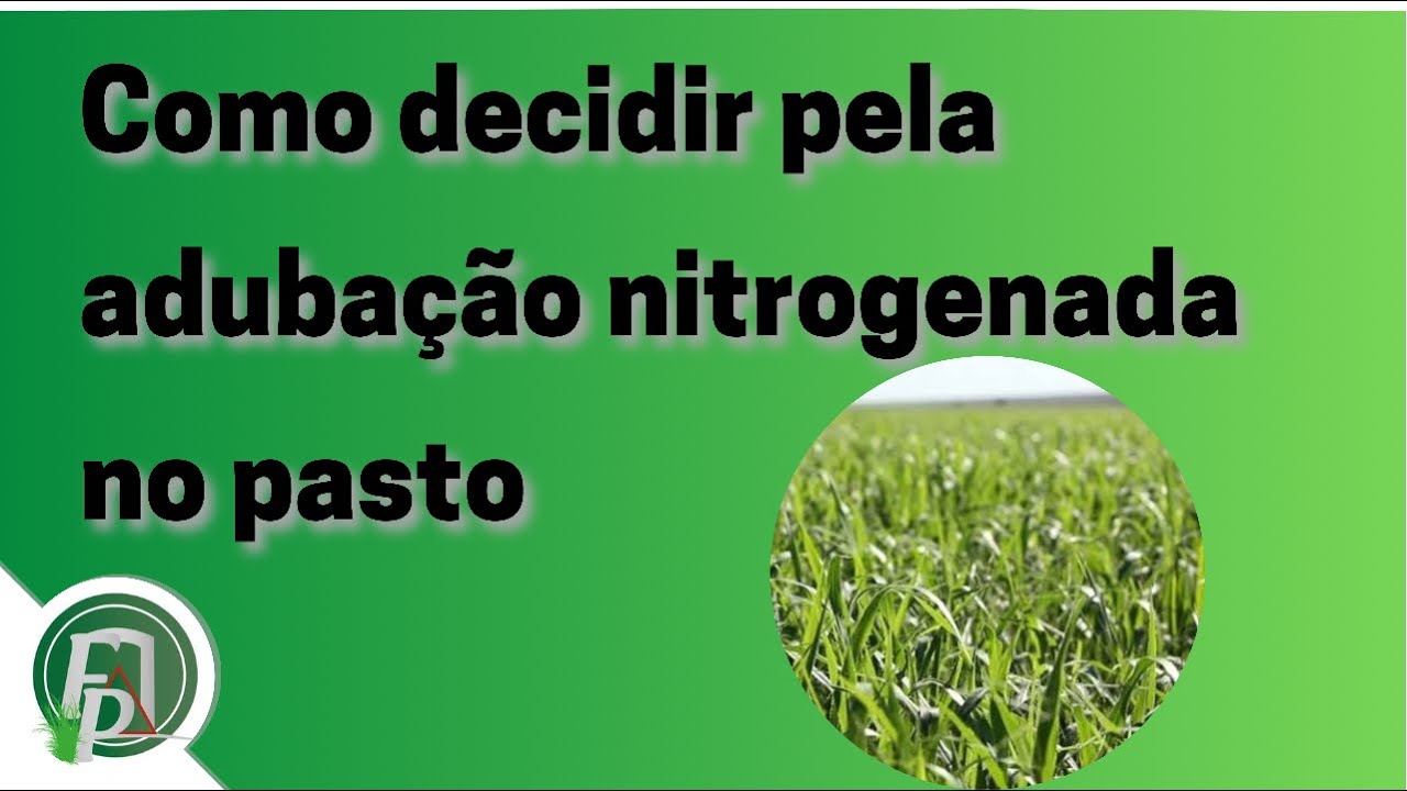 A decisão de adubar o pasto com nitrogênio