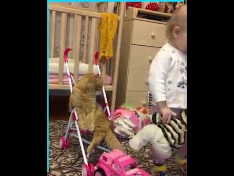 Sweet friendship 😻🤗😍❤️