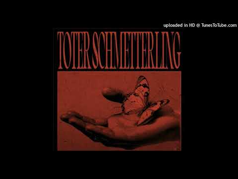 Klangkuenstler feat. Sant - Toter Schmetterling (ALEXPAREX MIX) [OUTWORLD]