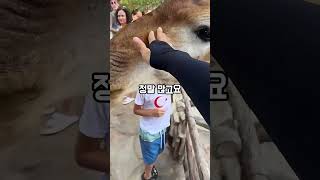 베트남 여행 어디로 갈까? 다낭 나트랑 푸꾸옥 달랏 총정리✈️