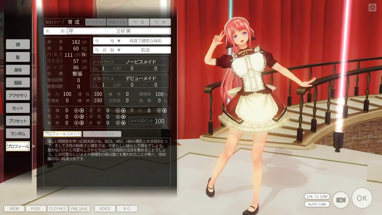 Gameplay video