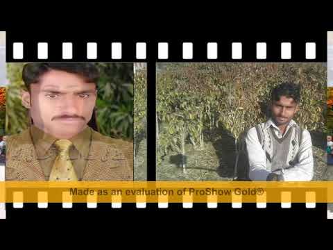 Aja Chan Pardesi   Wajid Ali Baghdadi   Latest Punjabi And Saraiki Song 2018