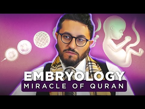 The Quran PERFECTLY Explains Embryology 1400 Years Ago!