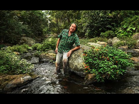FIELD TRIP WITH PATRICK BLANC IN INDIA - WESTERN GHATS - MUNNAR TO KOCHI BACKWATERS