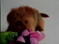 PBS Kids Bumper Who Likes Puppies 2002