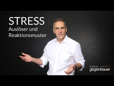 Stress und Stressreaktionen