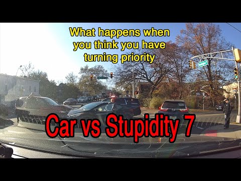 Car vs Stupidity 7
