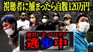 [日本] さらば青春の光-逃歩中