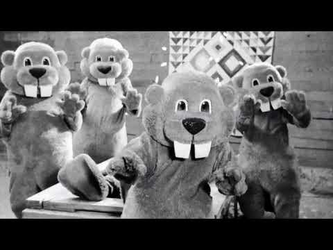 Butthole Surfers - Cough Syrup