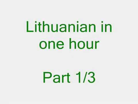 Lithuanian in 1 hour. Part 1/3. Anglų lietuvių kalbos pamokos kursas.