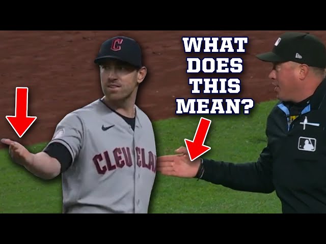 No one knew what this umpire's signal was, a breakdown
