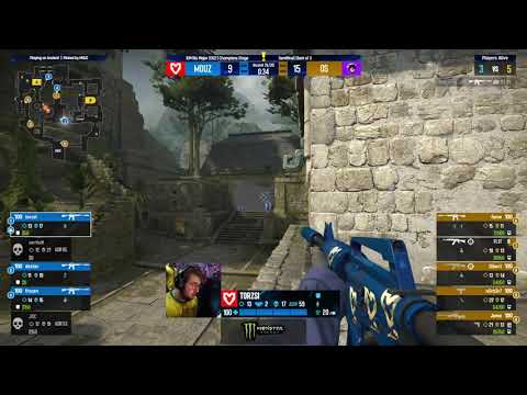 torzsi does not give up