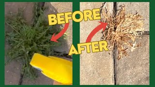 How To Get Rid of Unwanted Grass And Weeds without Roundup