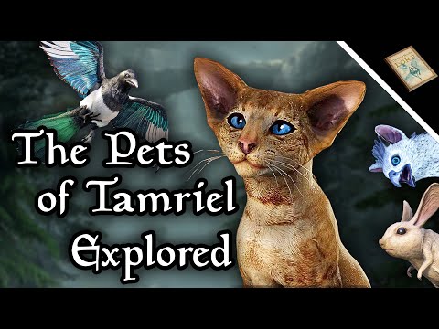The Amazing & Weird Pets of Tamriel - The Elder Scrolls Lore