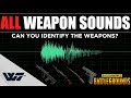 GUIDE ALL WEAPON SOUNDS Test Yourself Can You Identify The Weapons PUBG