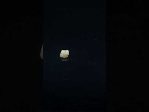 YouTube 썸네일