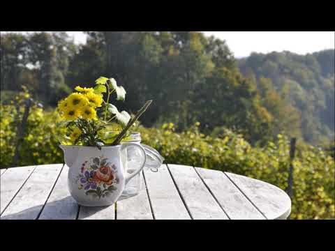 Sven Karlsson - The Bethesda Terrace Session