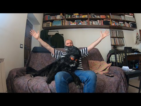 Ariele, Fric e la quarantena: “Non mi sopporta più”