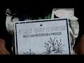 2 Bikini Models On The Beach Ep 1