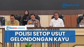Polda Lampung Setop Usut Gelondongan Kayu yang Terdampar di Pesisir Barat, Nyatakan Tidak Ada Pidana