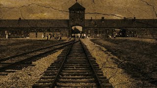 Hak-Ed Damm - Edelweiss