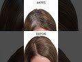 Video WELLA COLOR XPRESS