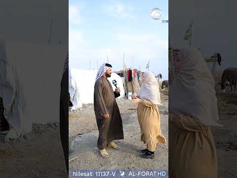 شاهد بالفيديو.. الجاموسة ذكية كلش !
