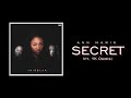 Ann Marie "Secret (ft. YK Osiris)" (Official Audio)