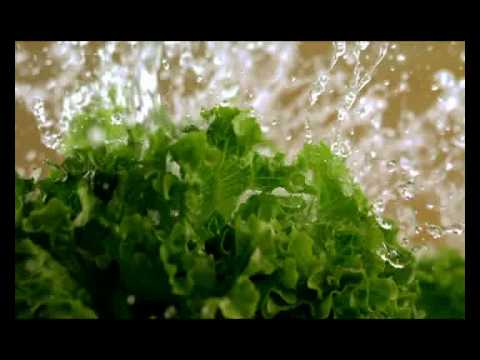 KONZUM Kuharica_Paprika