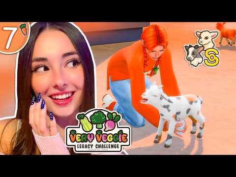 Mini Sheep and Mini Goats!! 🥕 Very Veggie Legacy Carrot #7