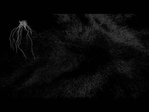 Melanohelios - VII: Warmth Within Endless Emptiness [Official Full Album] (Cosmic Dark Ambient)