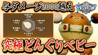 DQM4 与ダメ2000越え！究極どんぐりべビー完成！全体攻撃も覚えたら崩壊必至！？性格によるステータス上下の数値も判明！ドラクエモンスターズ4 ビアフロ 攻略【メイルス】
