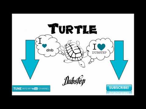 TurtleDubstep present: Stim Axel - DeJaVu