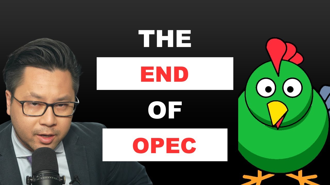 Oil Price Collapses: Is This The End Of OPEC? | Doomberg