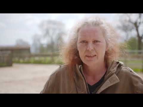 The Yorkshire Vet S14E10