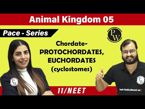 Animal Kingdom 05 | Chordate - PROTOCHORDATES , EUCHORDATES (cyclostomes) | 11 | NEET | PACE SERIES