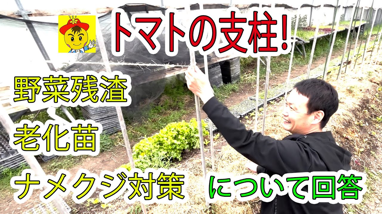 自然栽培の疑問解決とトマト支柱術