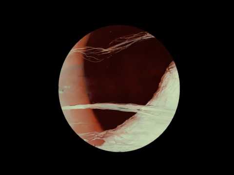 Frequenzfresser - Weltenflucht