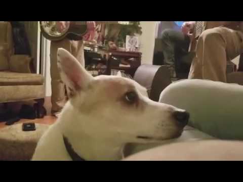 Truck bed boys band practice shenanigans
