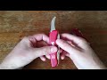 Peilis Victorinox Hunter raudonas
