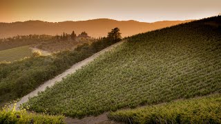 Tuscany Villas Rentals